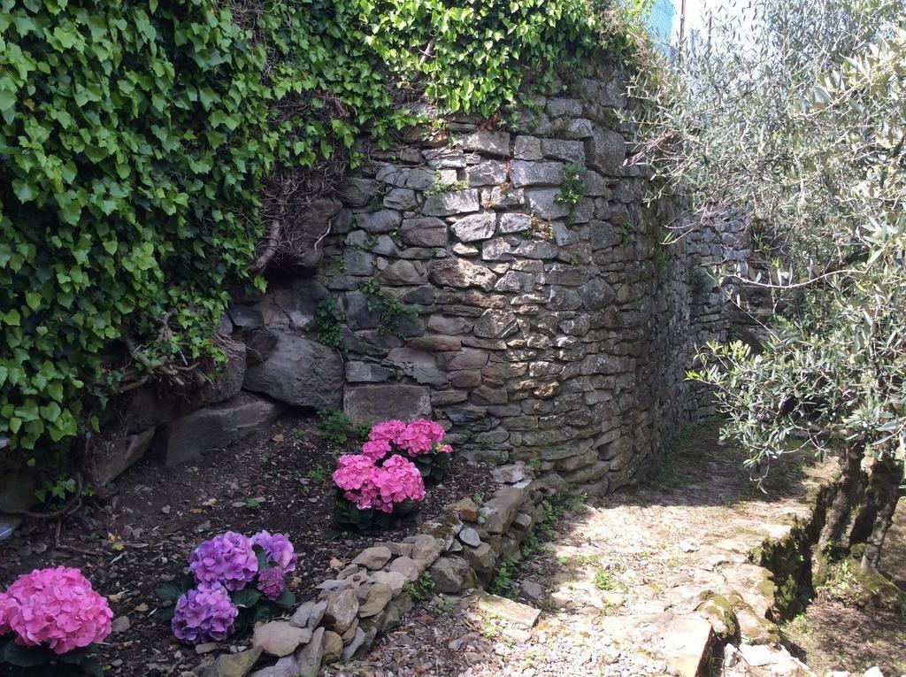 Casa Vacanze Ada Fiesole Zewnętrze zdjęcie