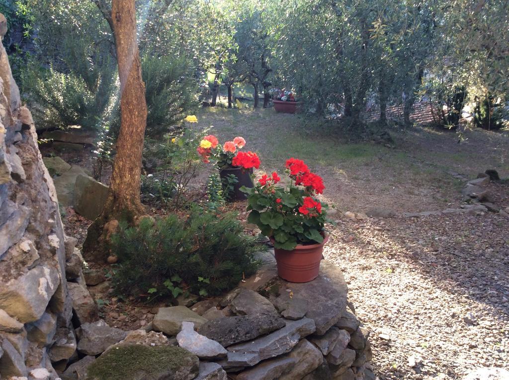 Casa Vacanze Ada Fiesole Zewnętrze zdjęcie